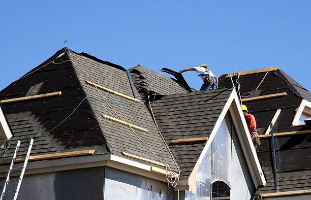 Best Shingle Roofing Installation  in La Blanca, TX