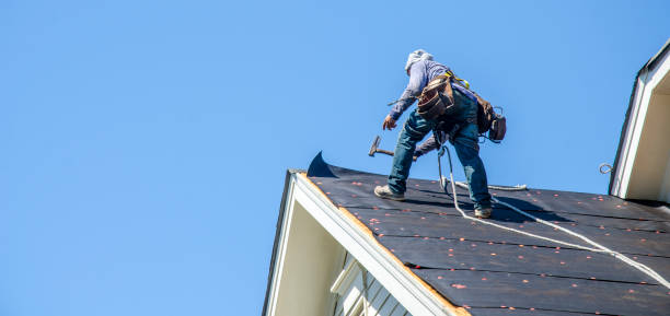 Best Roof Maintenance Services  in La Blanca, TX